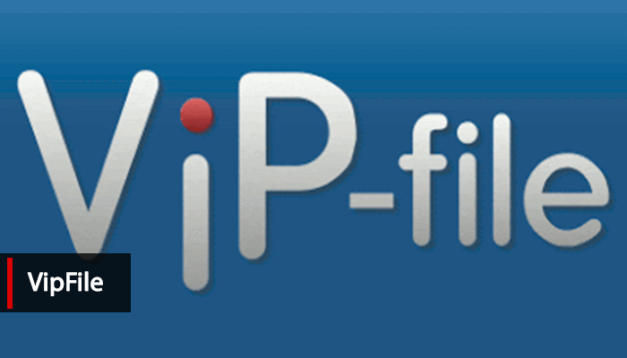 Создание собственного сайта VipFile