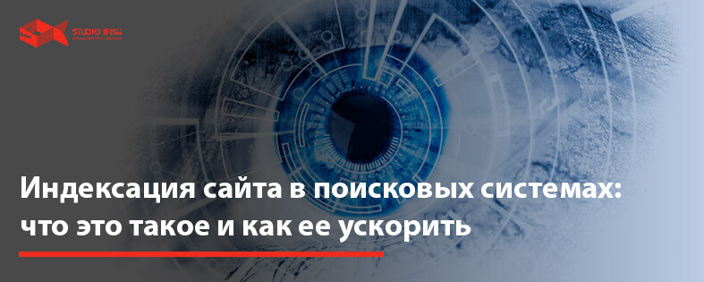 Индексация сайта в поисковых системах: что это такое и как ее ускорить