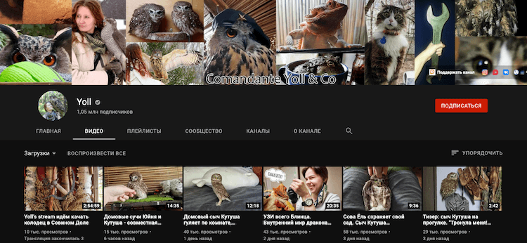 Популярные YouTube каналы про животных